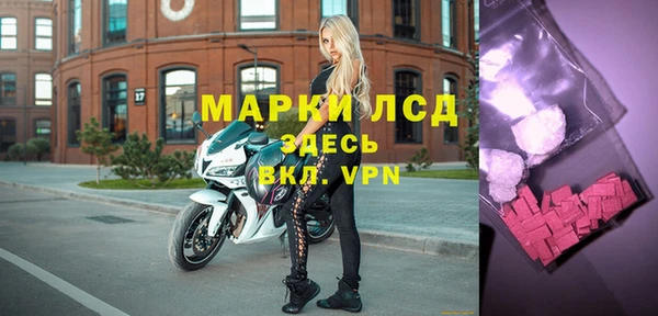 spice Аркадак